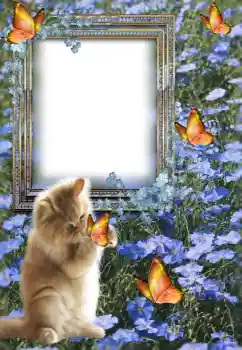 Fotografický efekt z kategorie Různé № 147609