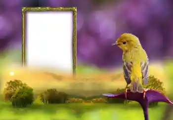 Fotografický efekt z kategorie Různé № 147660