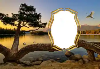 Fotografický efekt z kategorie Různé № 147663