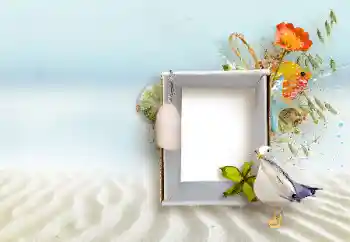 Fotografický efekt z kategorie Různé № 147890