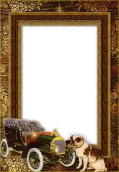 Fotografický efekt z kategorie Různé № 148971