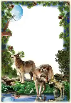 Fotografický efekt z kategorie Různé № 149261