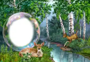 Fotografický efekt z kategorie Různé № 149352