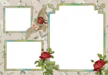 Fotografický efekt z kategorie Různé № 15030