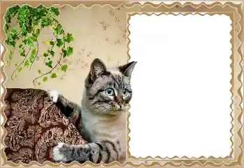 Fotografický efekt z kategorie Různé № 150513