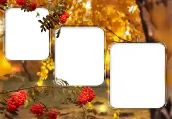 Fotografický efekt z kategorie Různé № 150527