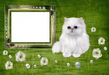 Fotografický efekt z kategorie Různé № 150550