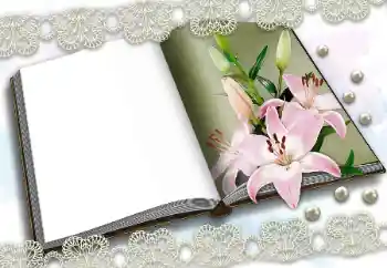 Fotografický efekt z kategorie Různé № 150570