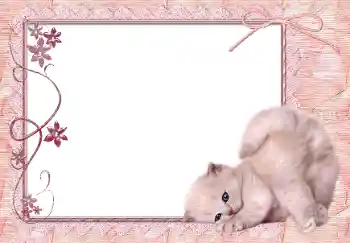 Fotografický efekt z kategorie Různé № 150650