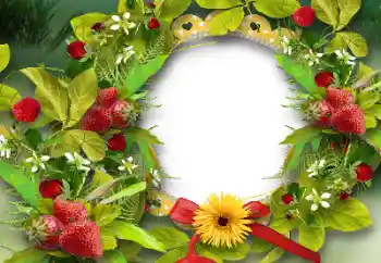 Fotografický efekt z kategorie Různé № 151668