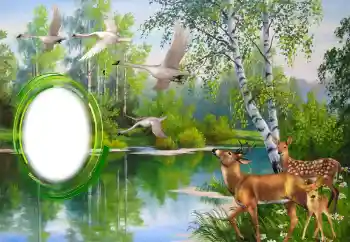 Fotografický efekt z kategorie Různé № 151671