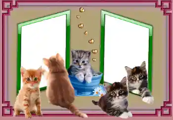 Fotografický efekt z kategorie Různé № 153045