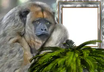 Fotografický efekt z kategorie Různé № 154503