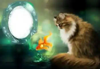 Fotografický efekt z kategorie Různé № 154509