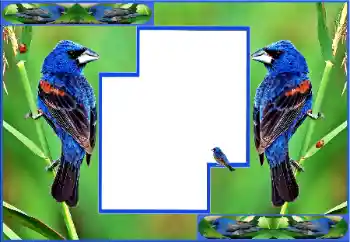 Fotografický efekt z kategorie Různé № 154512