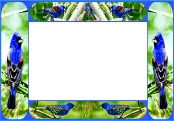 Fotografický efekt z kategorie Různé № 154514