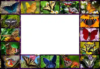 Fotografický efekt z kategorie Různé № 154545