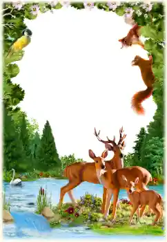 Fotografický efekt z kategorie Různé № 154547