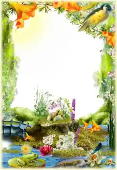 Fotografický efekt z kategorie Různé № 154548