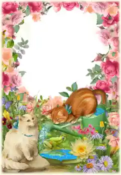 Fotografický efekt z kategorie Různé № 154549