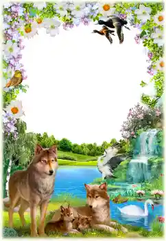 Fotografický efekt z kategorie Různé № 154550