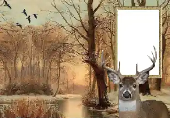 Fotografický efekt z kategorie Různé № 154607