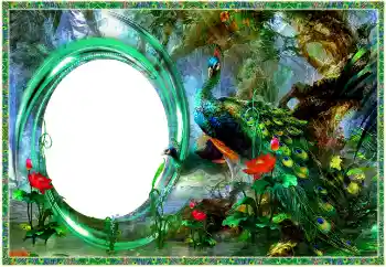 Fotografický efekt z kategorie Různé № 154704