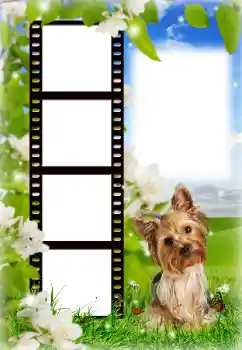 Fotografický efekt z kategorie Různé № 154718