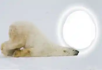 Fotografický efekt z kategorie Různé № 154735