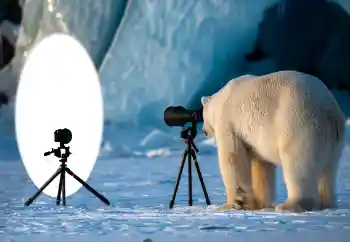 Fotografický efekt z kategorie Různé № 154736