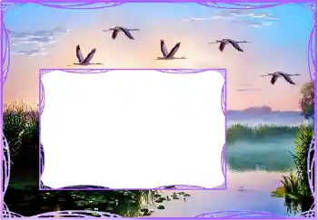 Fotografický efekt z kategorie Různé № 154759