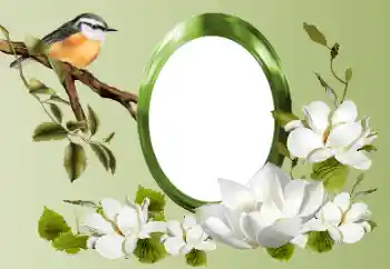 Fotografický efekt z kategorie Různé № 155868