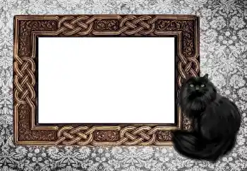 Fotografický efekt z kategorie Různé № 155997