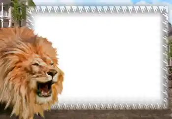 Fotografický efekt z kategorie Různé № 158462