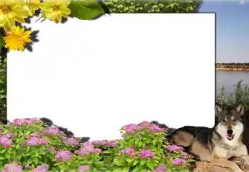 Fotografický efekt z kategorie Různé № 159462