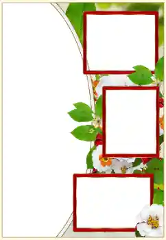 Fotografický efekt z kategorie Různé № 159529