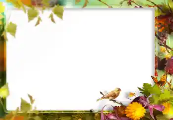 Fotografický efekt z kategorie Různé № 160773