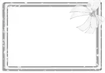 Fotografický efekt z kategorie Různé № 160788