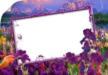 Fotografický efekt z kategorie Různé № 160843