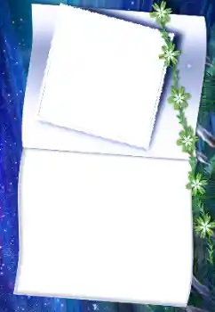 Fotografický efekt z kategorie Různé № 161941