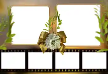 Fotografický efekt z kategorie Různé № 161948