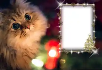 Fotografický efekt z kategorie Různé № 162030