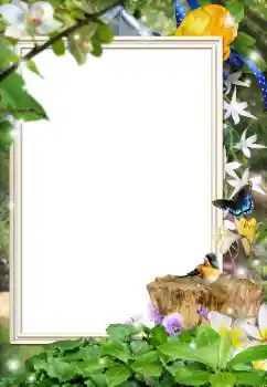 Fotografický efekt z kategorie Různé № 162044