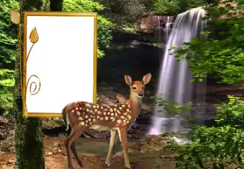 Fotografický efekt z kategorie Různé № 163220