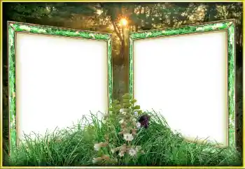 Fotografický efekt z kategorie Různé № 163263