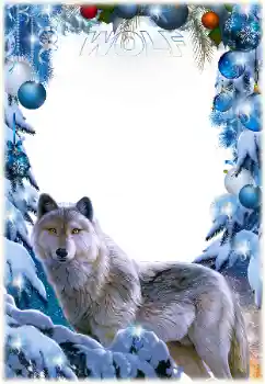 Nápis na rámečku: Wolf