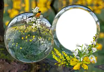 Fotografický efekt z kategorie Různé № 163601