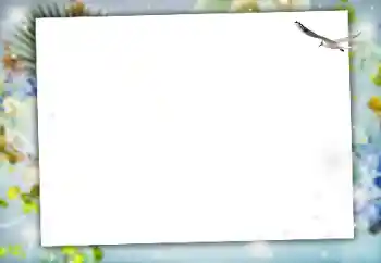 Fotografický efekt z kategorie Různé № 164634