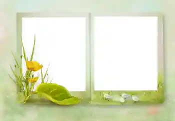 Fotografický efekt z kategorie Různé № 164751