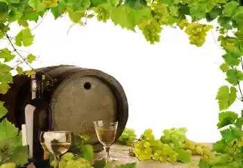 Fotografický efekt z kategorie Různé № 164780